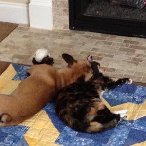 Meet your Posher, Jodie